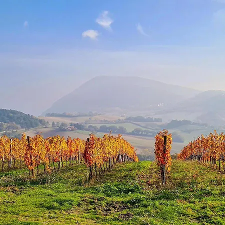 Fuori Porta Appartement *